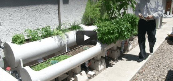 Internet of Farming: Arduino-based, backyard aquaponics