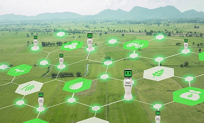 IBM’s Watson Decision Platform To Bolster The Indian Agricultural Sector