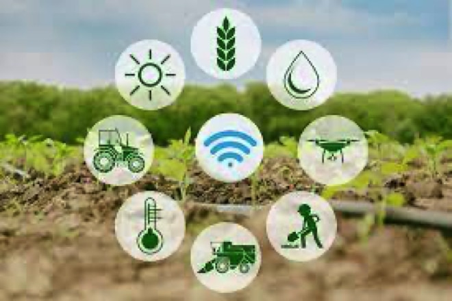 New NB-IoT Solutions to Enable Smart Monitoring in Australian Farms